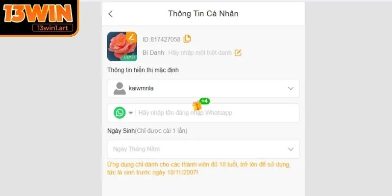 Những điểm bạn cần ghi nhớ khi thực hiện đăng ký 13WIN